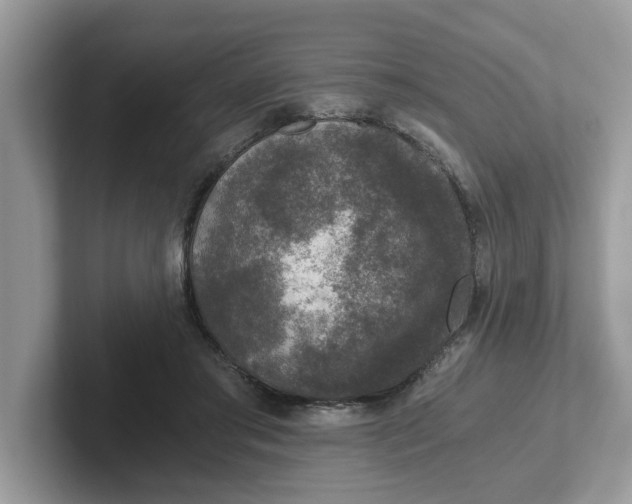 X0000101440405200807211217