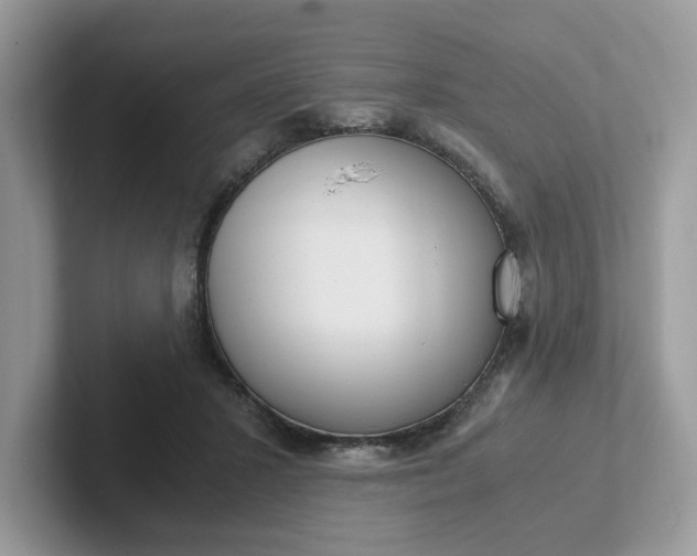 X0000101440407200807211216