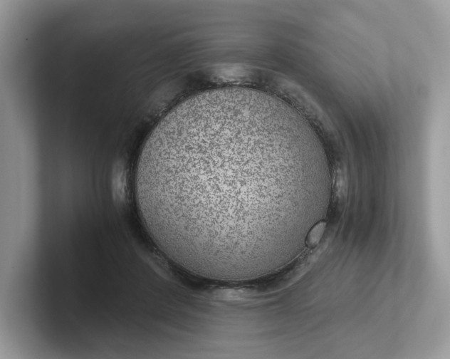 X0000101440408200807211216