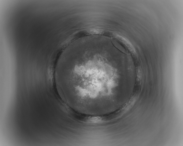 X0000101440409200807211216