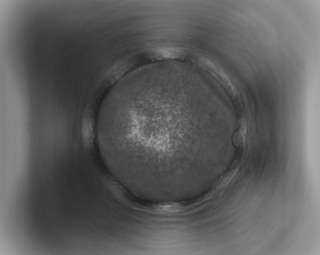 X0000101440410200807211216