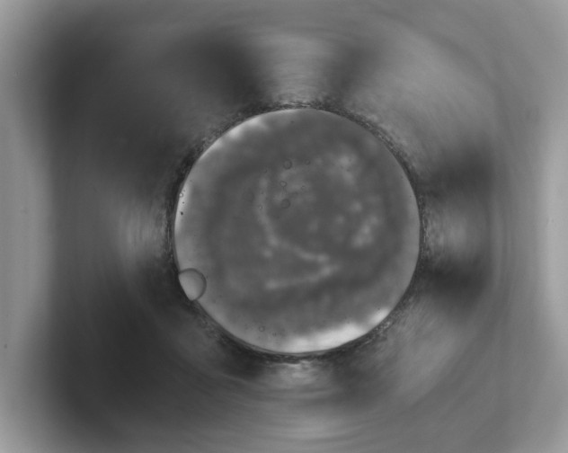 X0000101440411200807211216