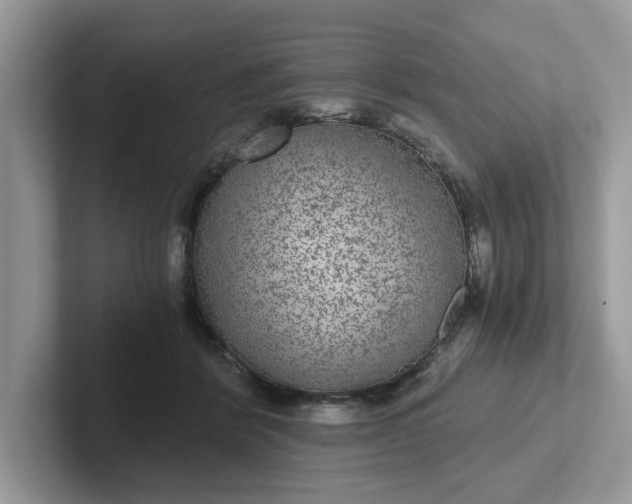 X0000101440412200807211216