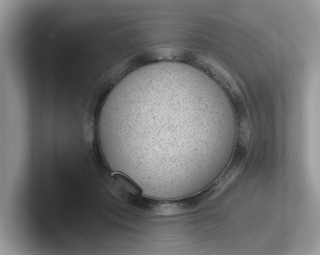 X0000101440413200807211216