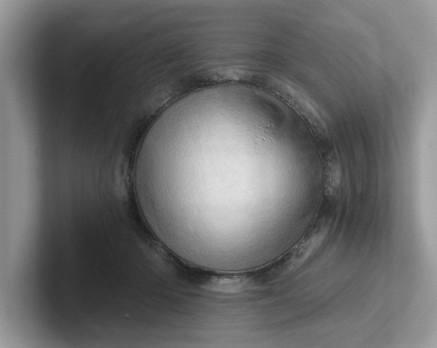 X0000101440414200807211216