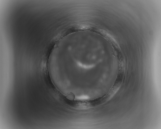 X0000101440415200807211216