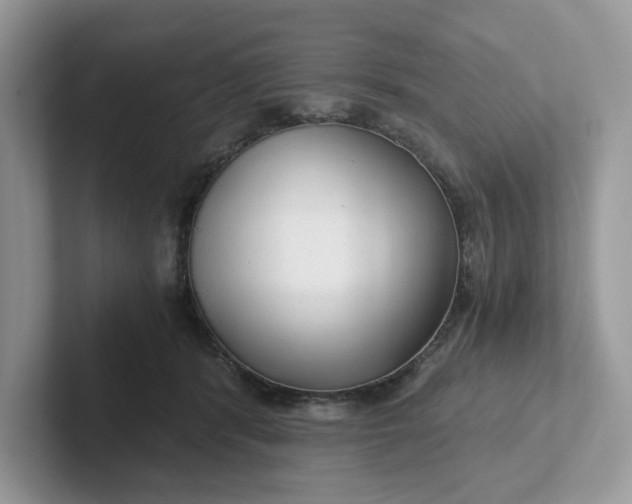 X0000101440416200807211216