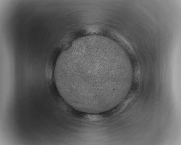 X0000101440417200807211216