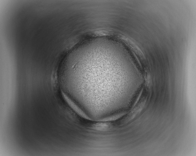 X0000101440418200807211216