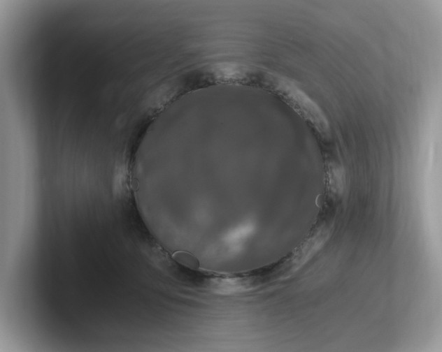 X0000101440419200807211216