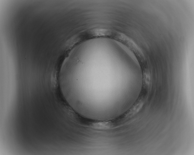 X0000101440422200807211216