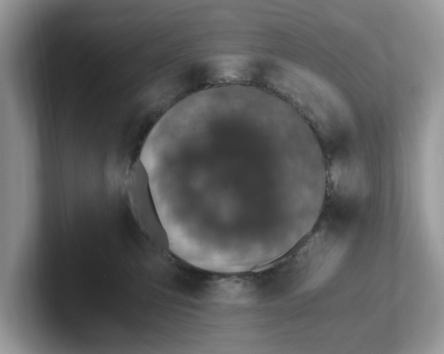 X0000101440423200807211216