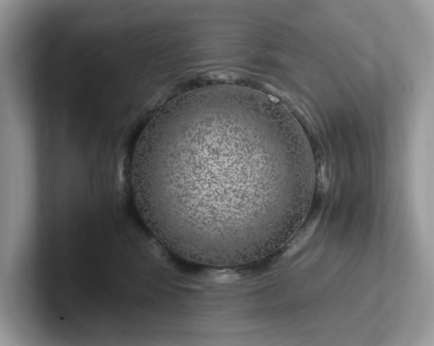 X0000101440424200807211216