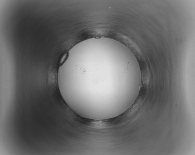 X0000101440425200807211216