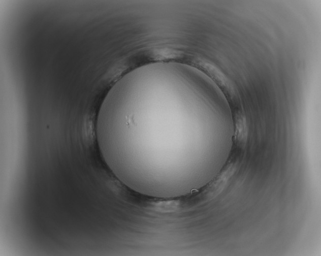 X0000101440426200807211216