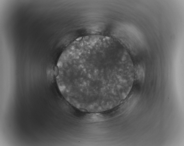 X0000101440427200807211216