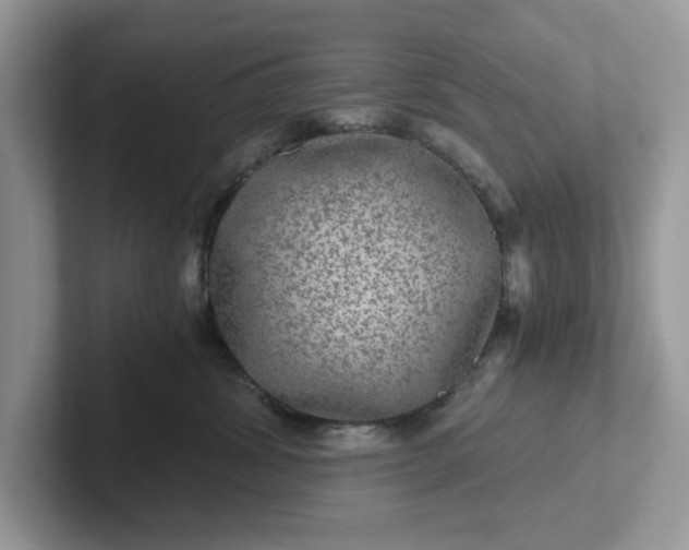 X0000101440428200807211216