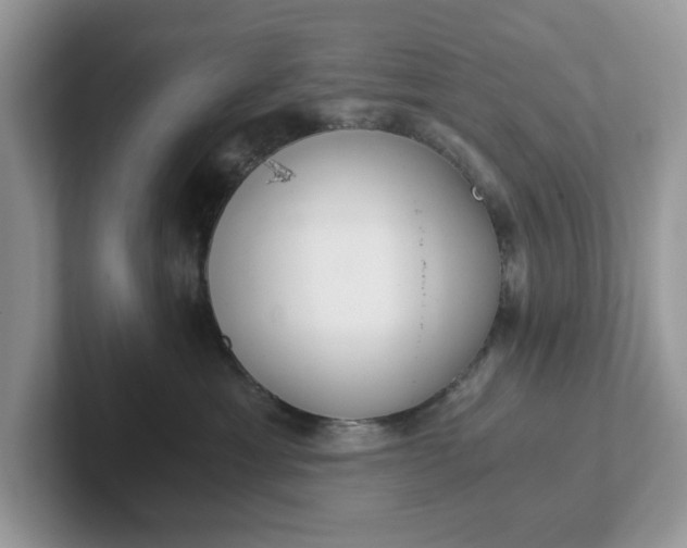 X0000101440429200807211216