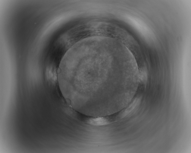 X0000101440431200807211216