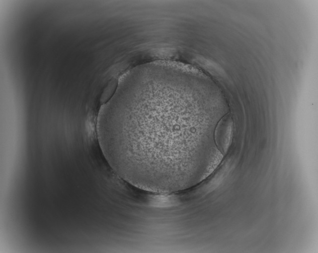 X0000101440432200807211216