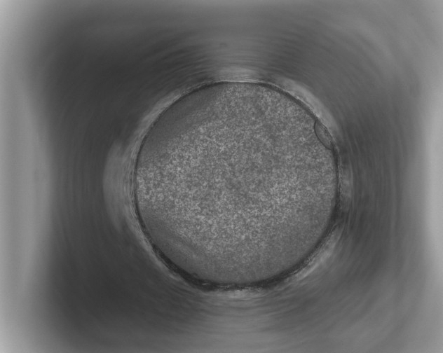 X0000101440433200807211215