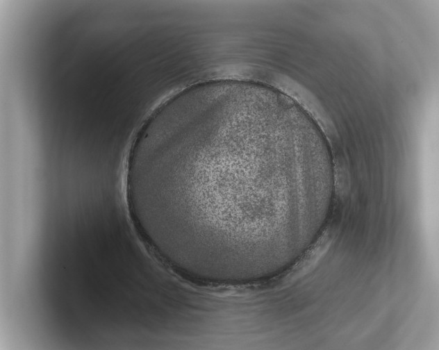 X0000101440434200807211215