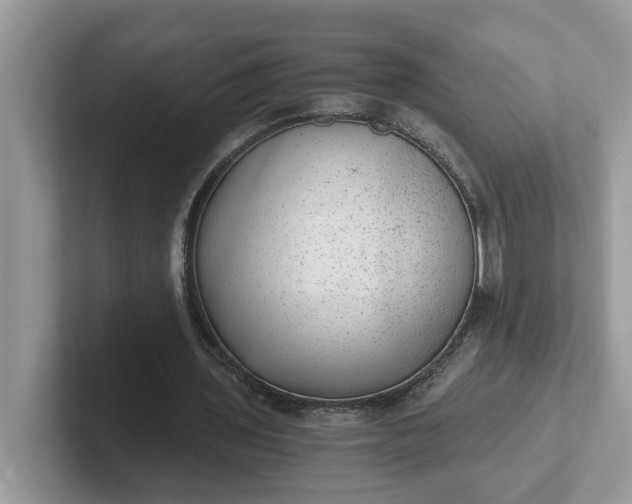 X0000101440435200807211215