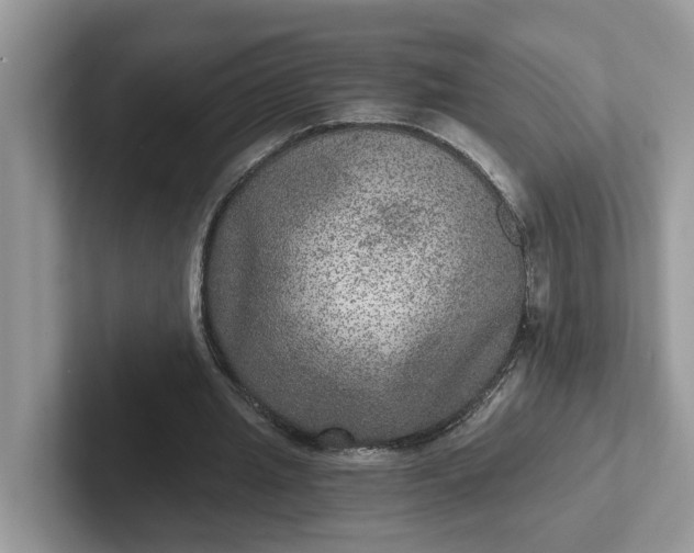 X0000101440437200807211215