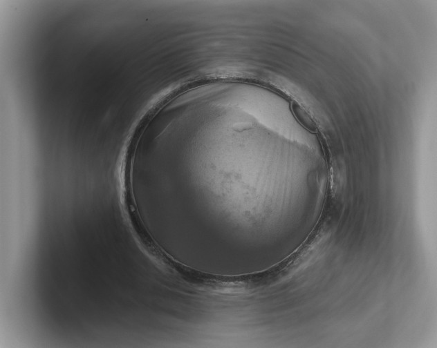 X0000101440438200807211215