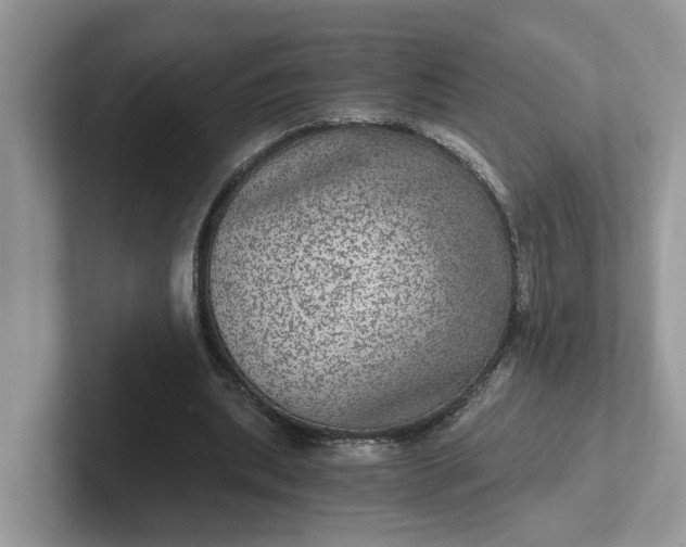 X0000101440439200807211215