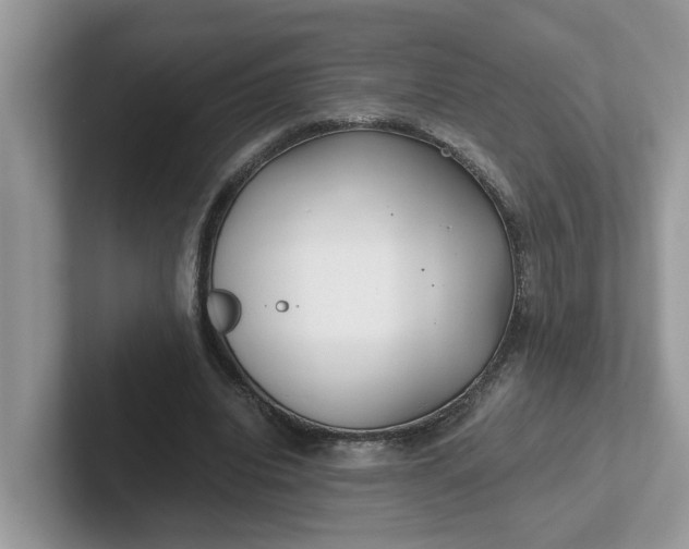 X0000101440440200807211215