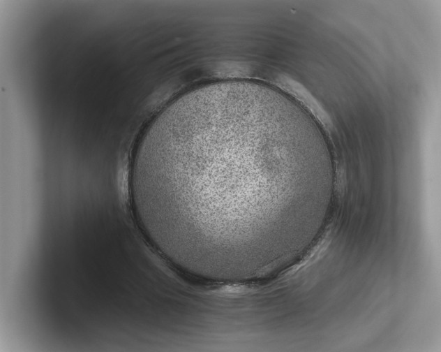 X0000101440441200807211215