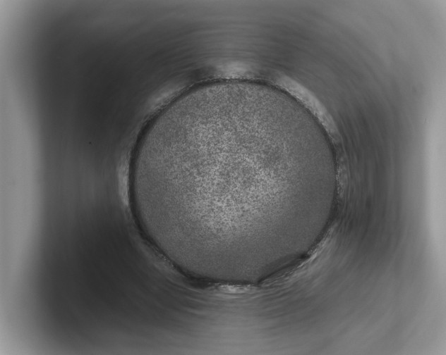 X0000101440442200807211216