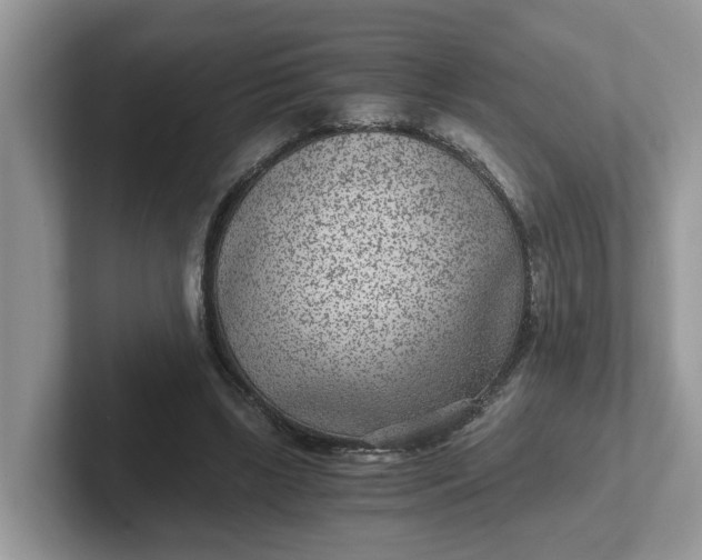 X0000101440443200807211216