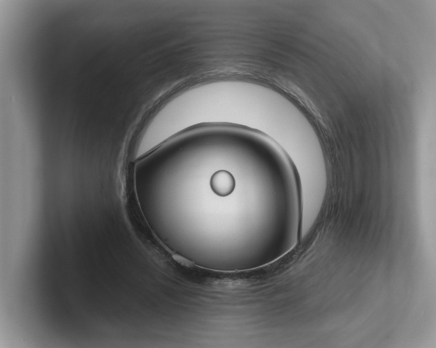 X0000101440444200807211216