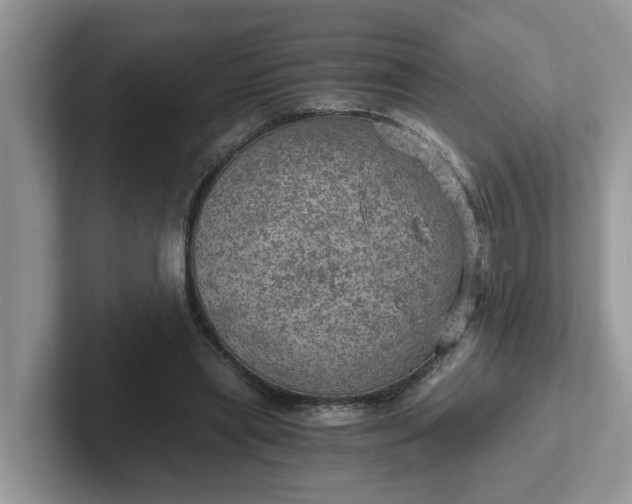 X0000101440445200807211216