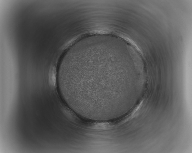 X0000101440446200807211216