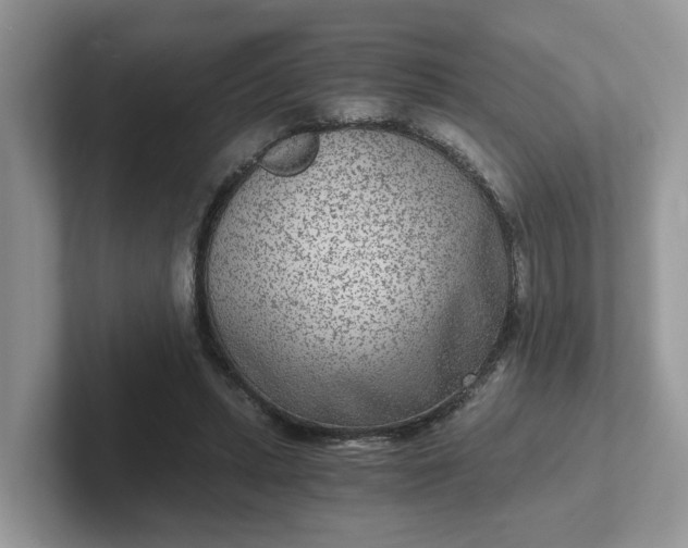 X0000101440447200807211216