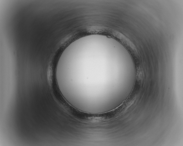 X0000101440448200807211216