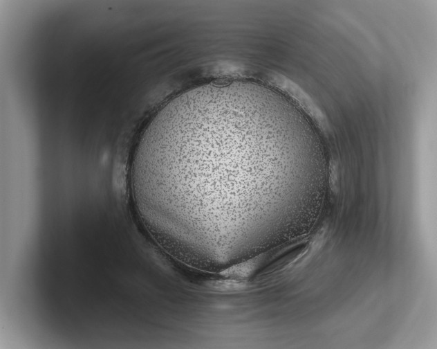 X0000101440449200807211216