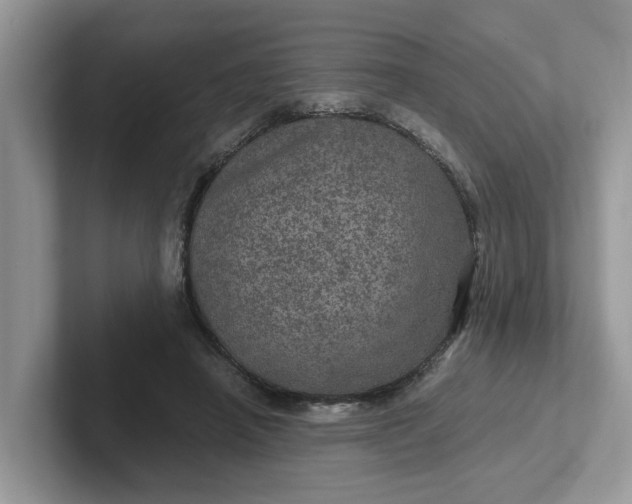 X0000101440450200807211216