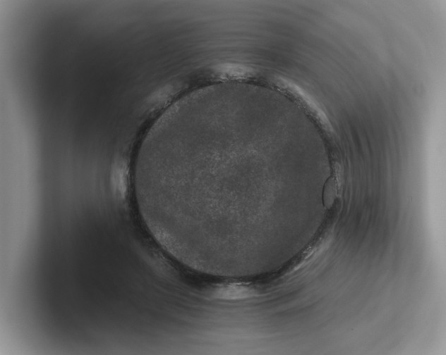 X0000101440451200807211216