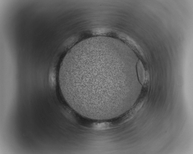 X0000101440452200807211216