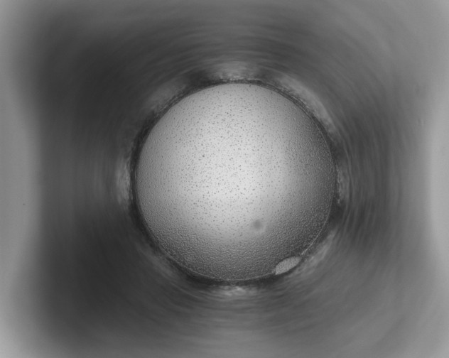 X0000101440453200807211216