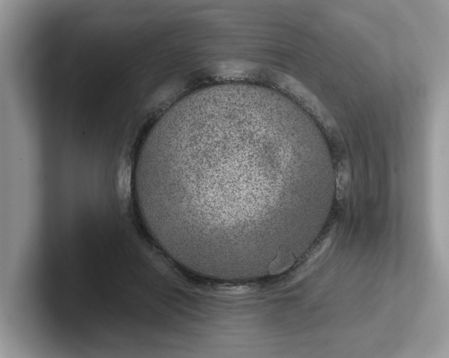 X0000101440454200807211216