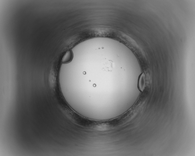 X0000101440456200807211216