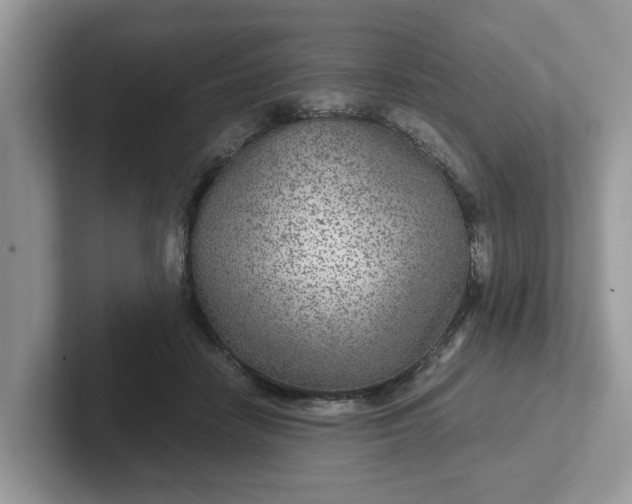 X0000101440458200807211216