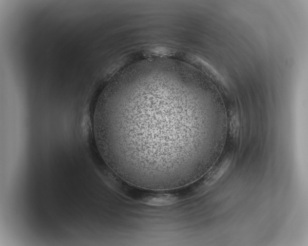 X0000101440459200807211216