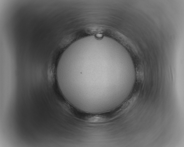 X0000101440460200807211216