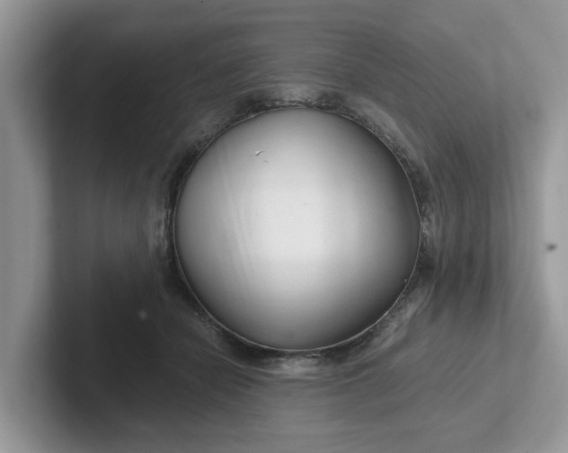 X0000101440462200807211216